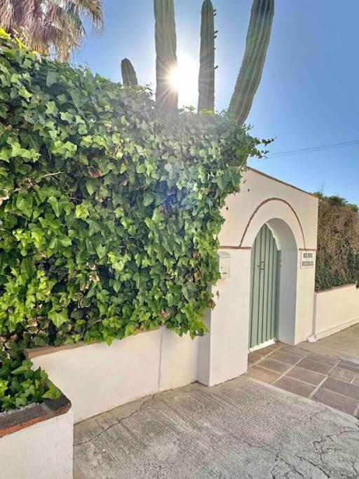 Villa Capitano -Seaviews -4 Bedrooms - La Cala Ла-Кала-де-Михас Экстерьер фото
